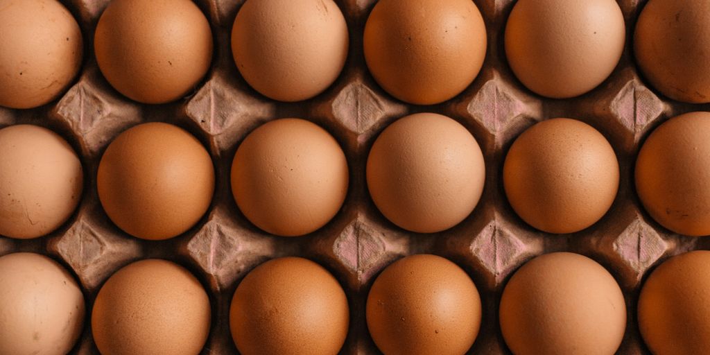 native egg lot