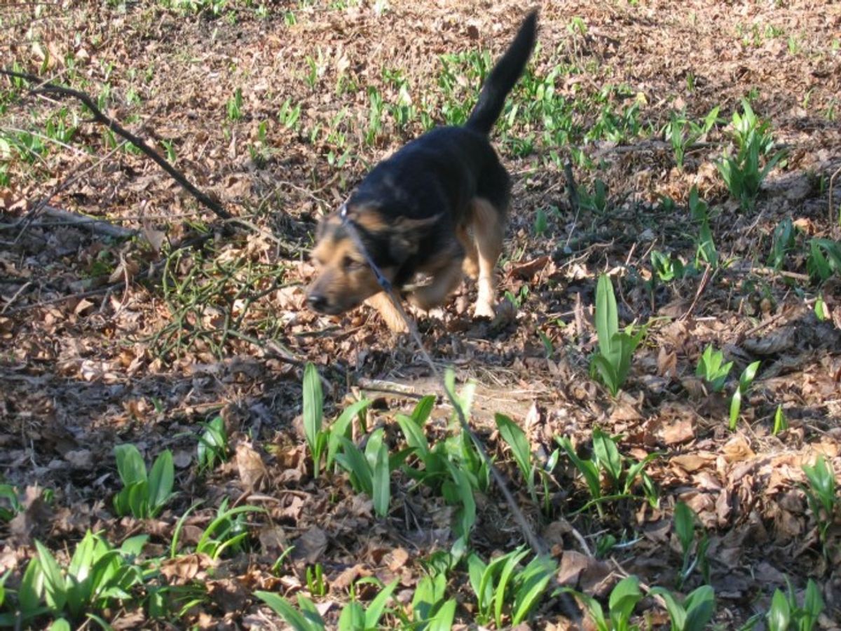 Future Trends in Visual Brand Storytelling