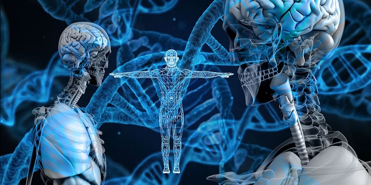 Harnessing Biotechnology for Peak Muscular Performance