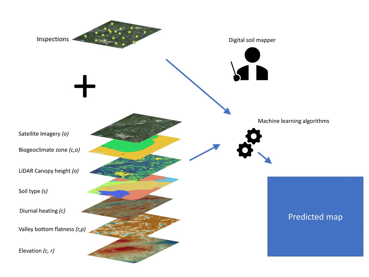 Navigating Challenges in AI Implementation