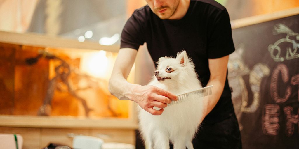 man brushing dog hair