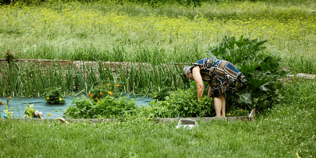Cultivo sostenible: Prácticas ecológicas para tus plantas suculentas A woman tends her garden amidst greenery.