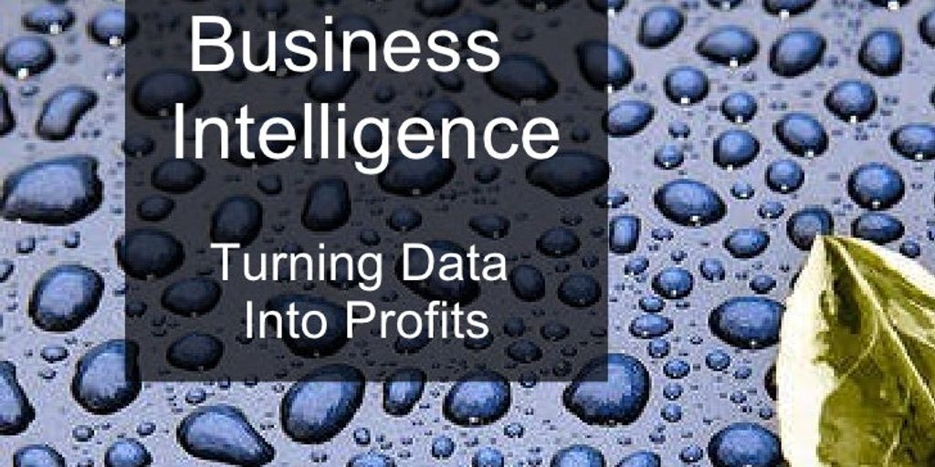 business intelligence data management