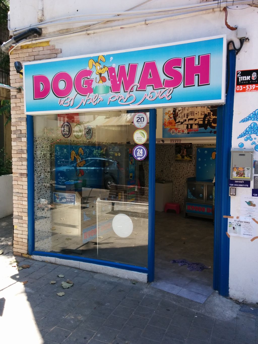 Is there a selfservice dog wash near me? Seattle Canine Club