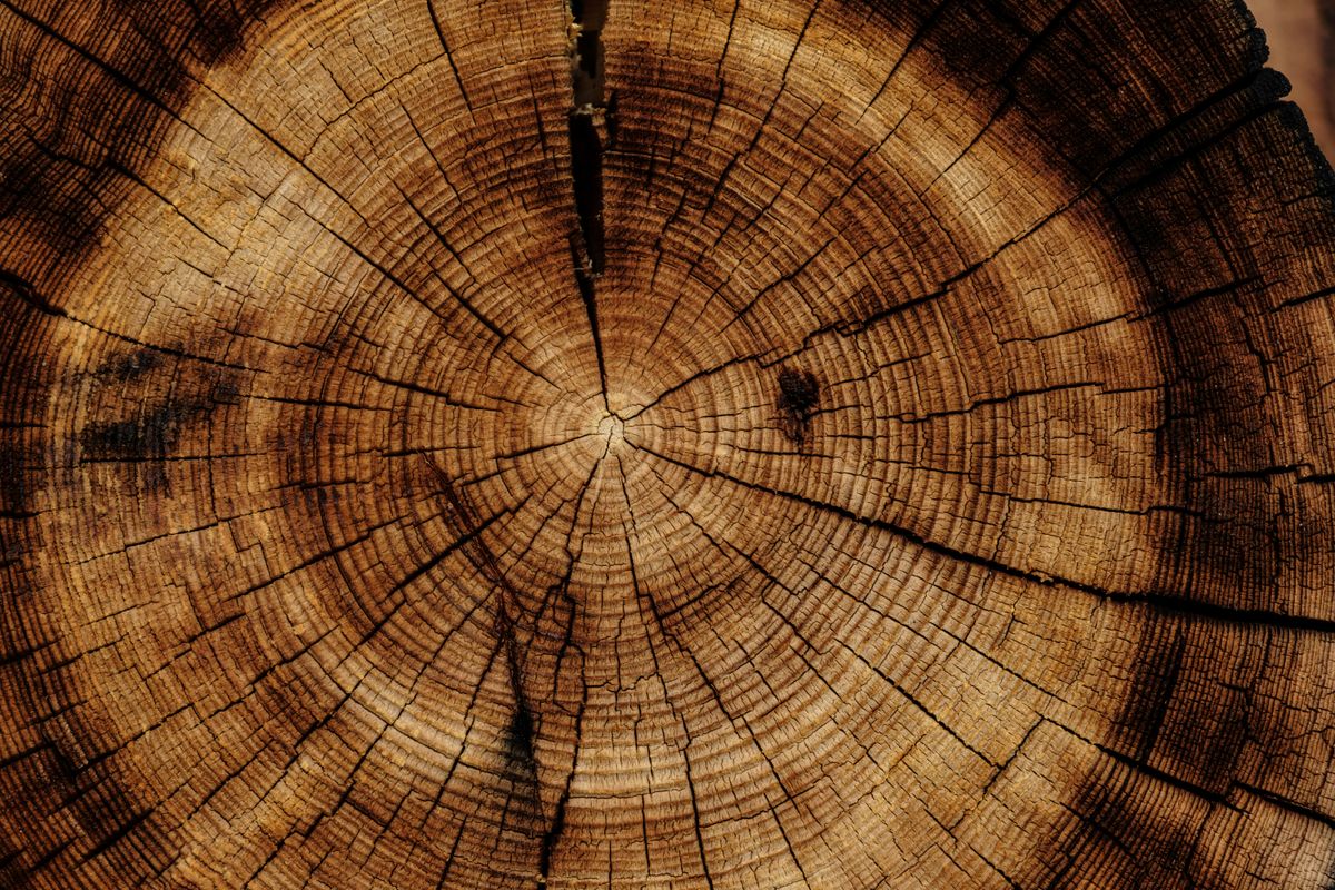 Die Bedeutung von Massivholz in der Möbelherstellung
