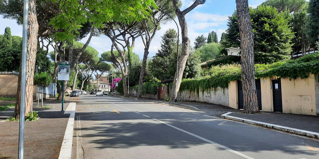 a street lined with lots of trees next to a building