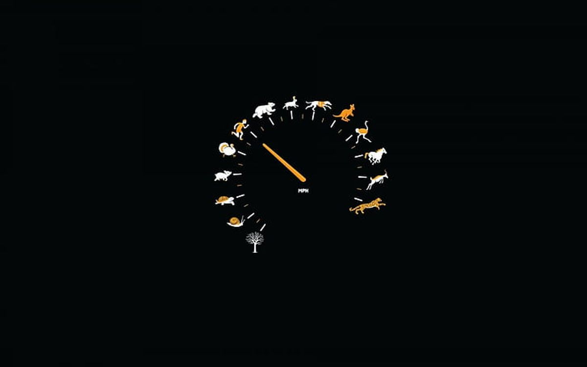 Leveraging Caching for Enhanced Performance