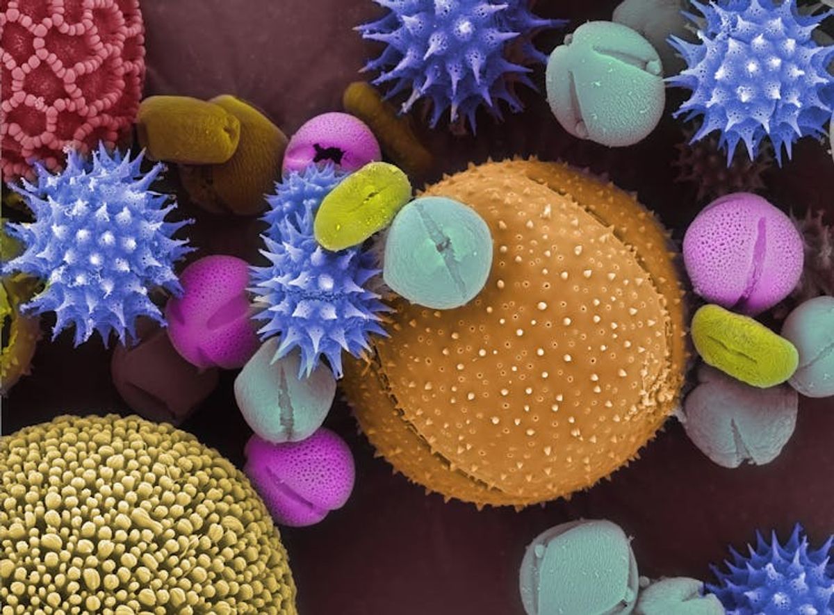 Understanding the Link Between HVAC Systems and Seasonal Allergies