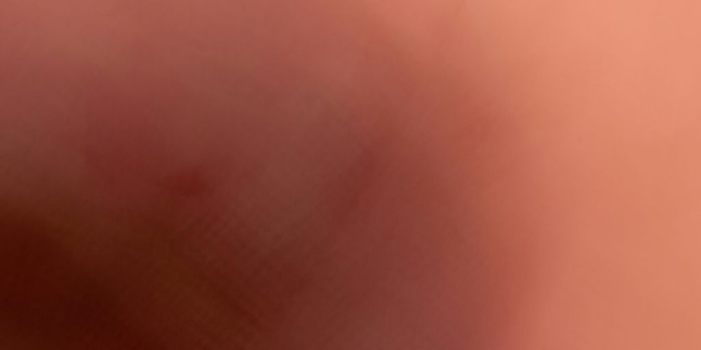 A blurry photo of a red and white bird