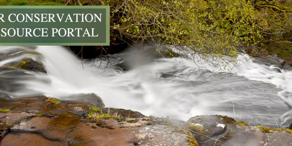 rainwater harvesting in a garden