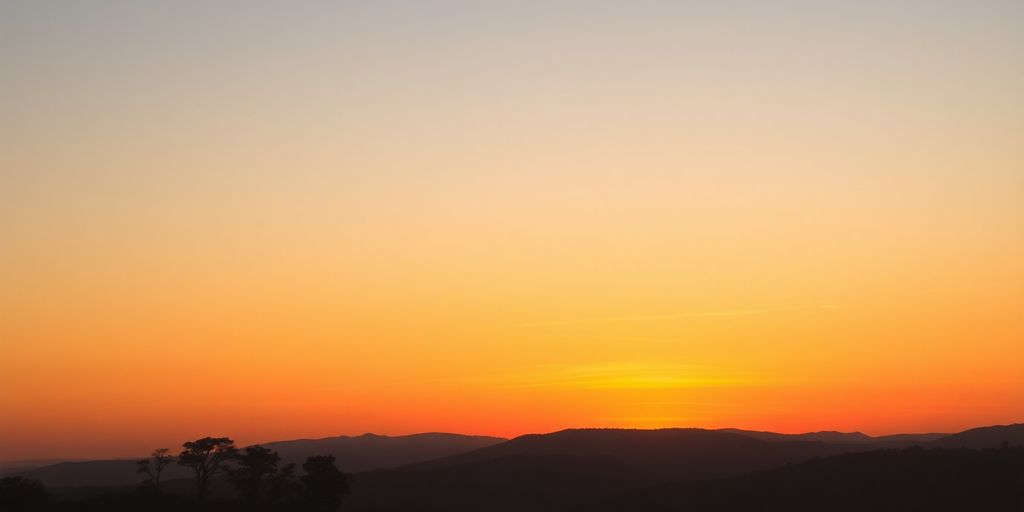 Silhouettes of trees at sunset over peaceful hills.