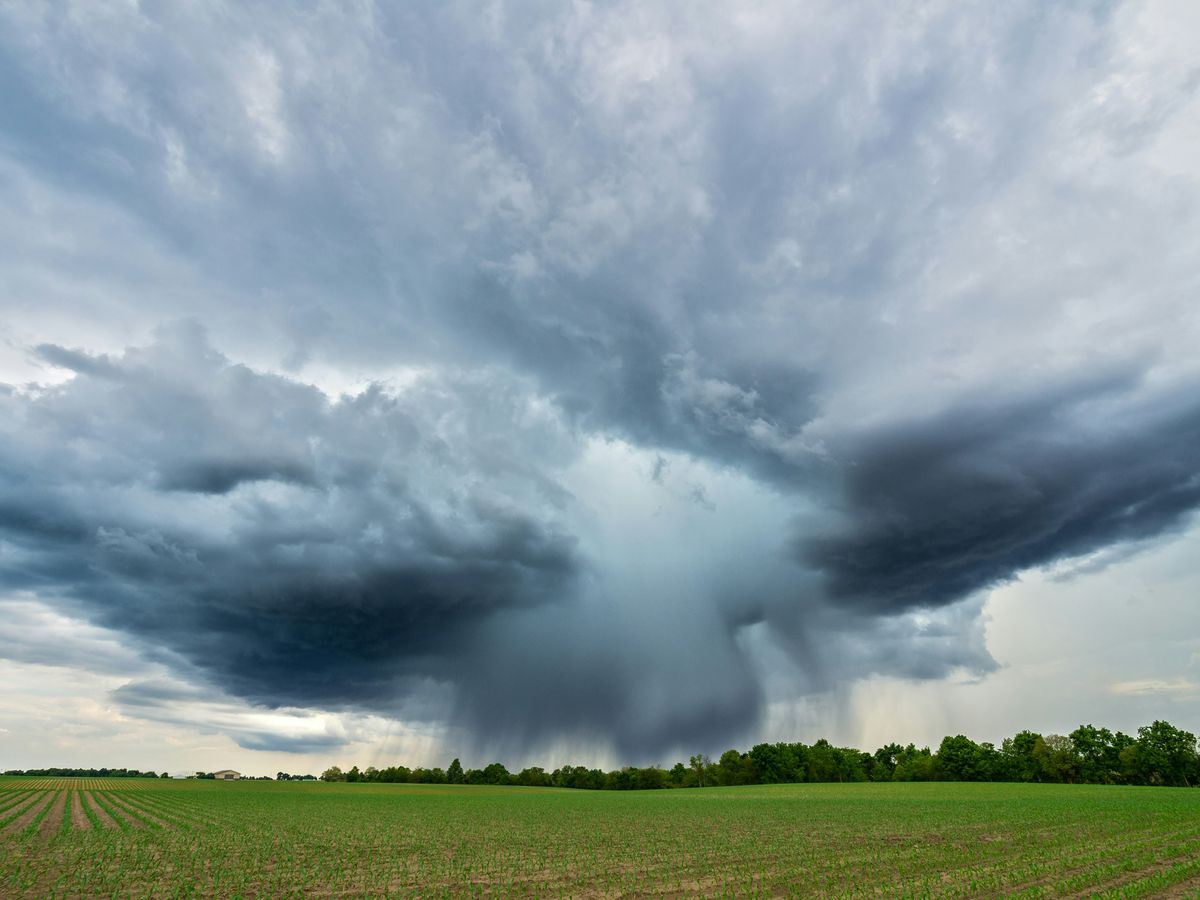 microburst thunderstorm