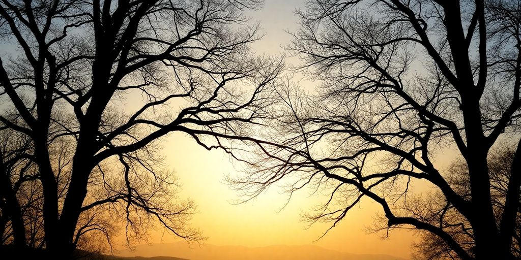 Silhouette of trees against a peaceful dawn landscape.