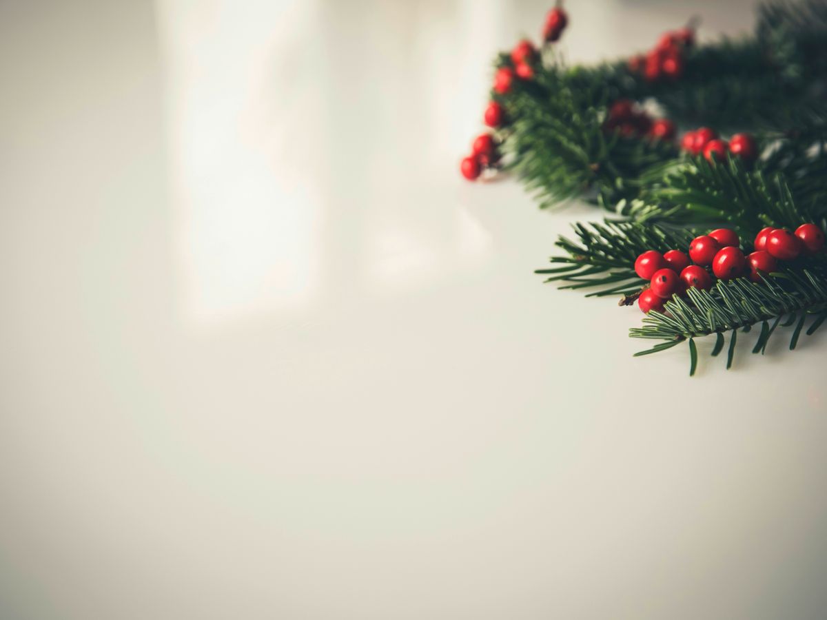 closeup photography of green Christmas tree leaf