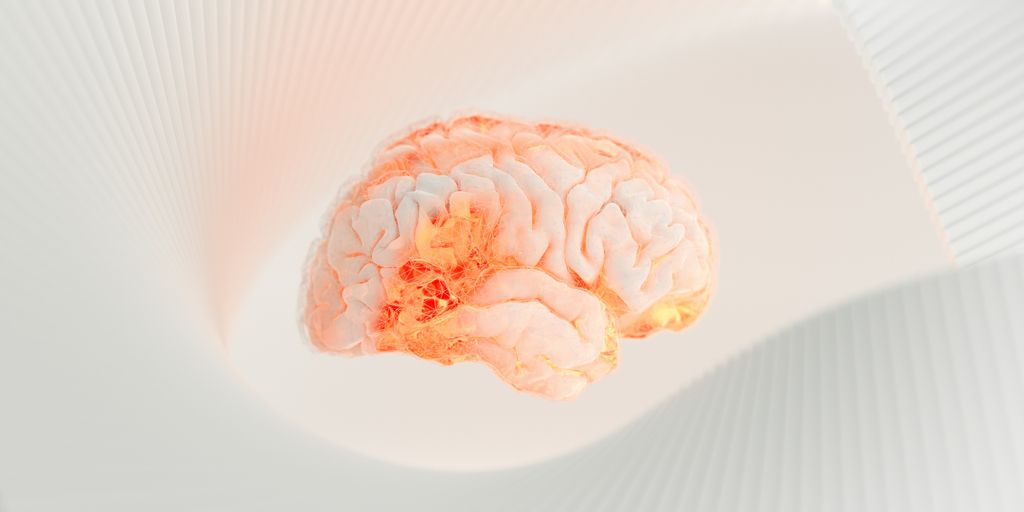 a close up of a human brain on a white surface