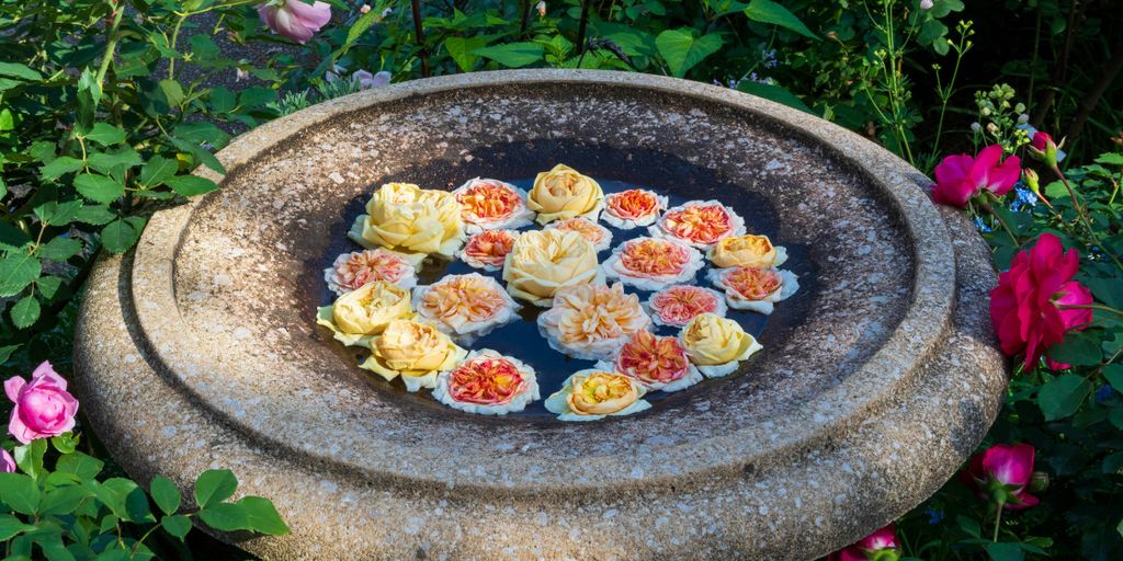 a bird bath filled with flowers in a garden