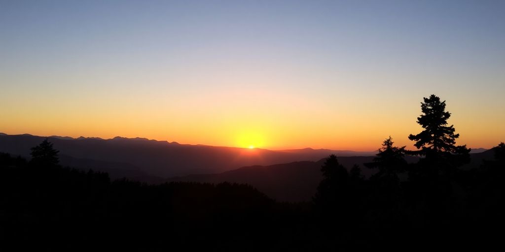 Silhouette of trees and mountains at dawn.