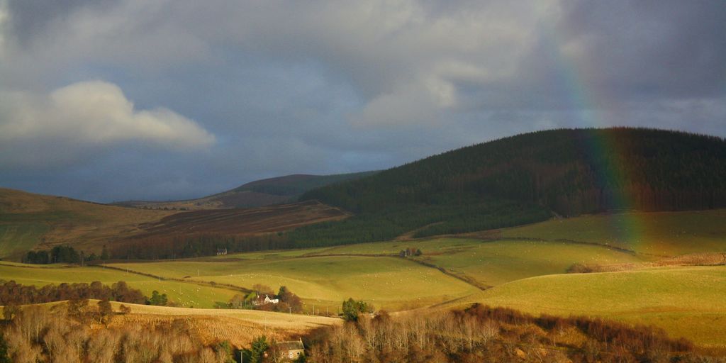 a rainbow shines in the sky over a farm