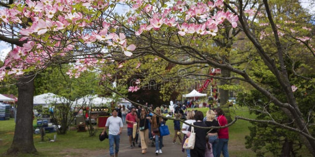 Rochester Lilac Festival