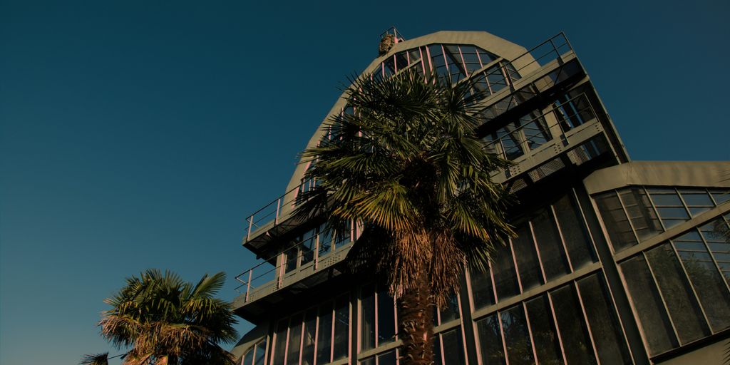 low angle photo of palm trees beside building