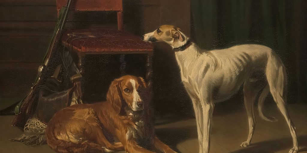 two dogs, bulldog and labrador, sitting together