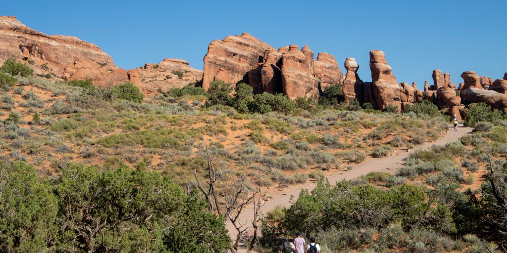 A group of people walking up a trail in the desert