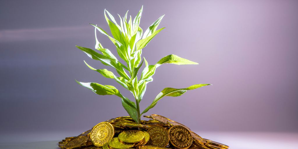 green-leafed plant