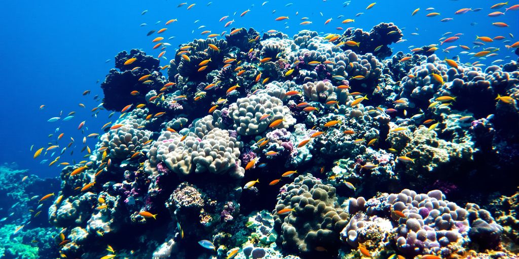 Vibrant coral reef with colorful fish swimming.