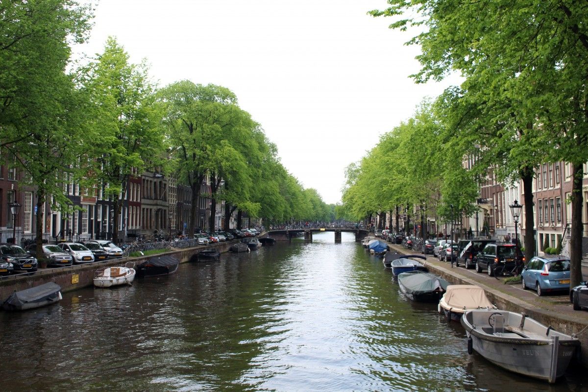 Cycling Through History: Amsterdam Bike Tour Highlights