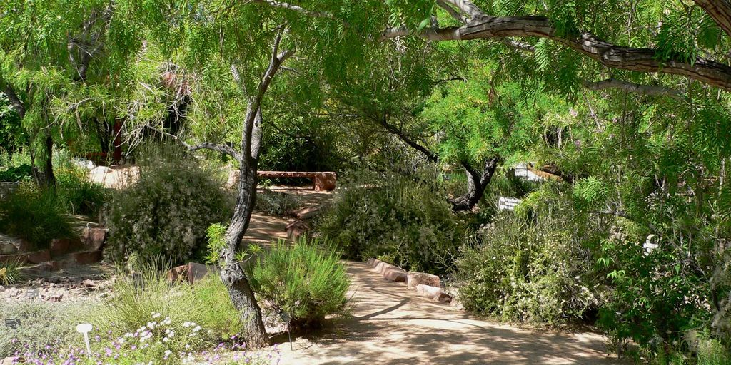 companion planting in a garden