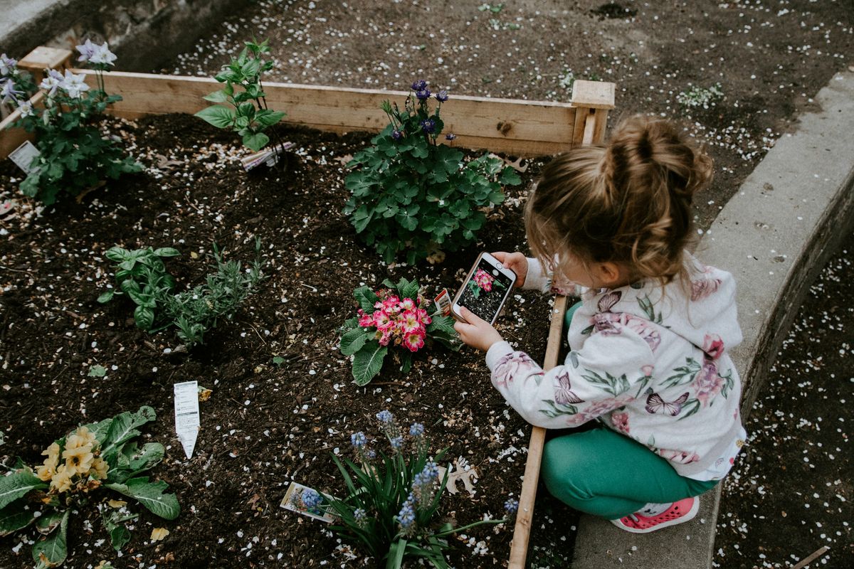 The JADAM Website: Your Virtual Mentor in Organic Farming