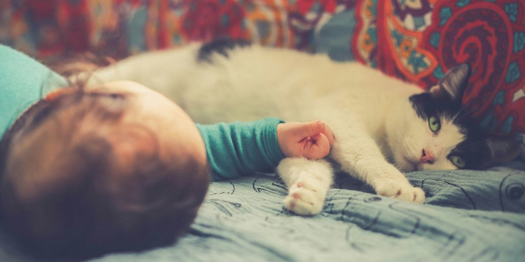 white and black cat lying beside baby