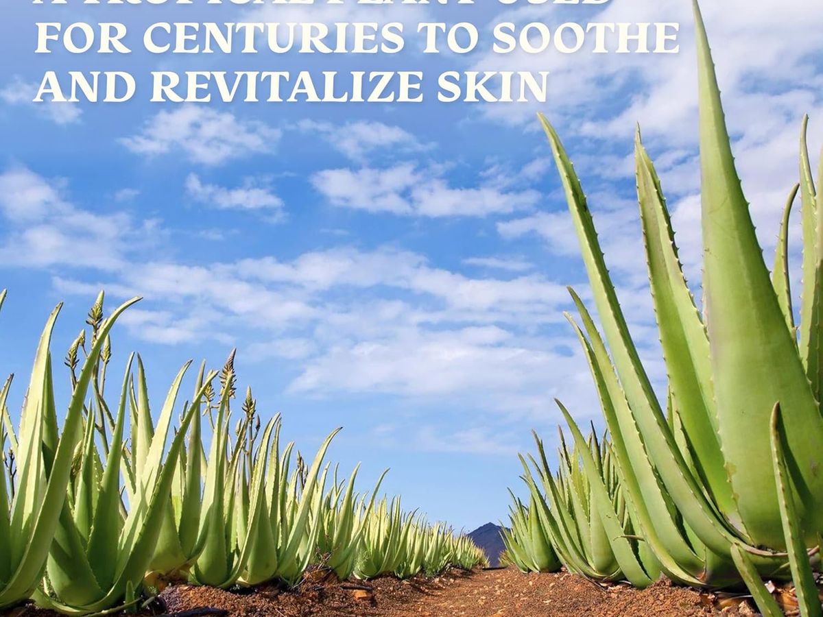 Aloe Vera products