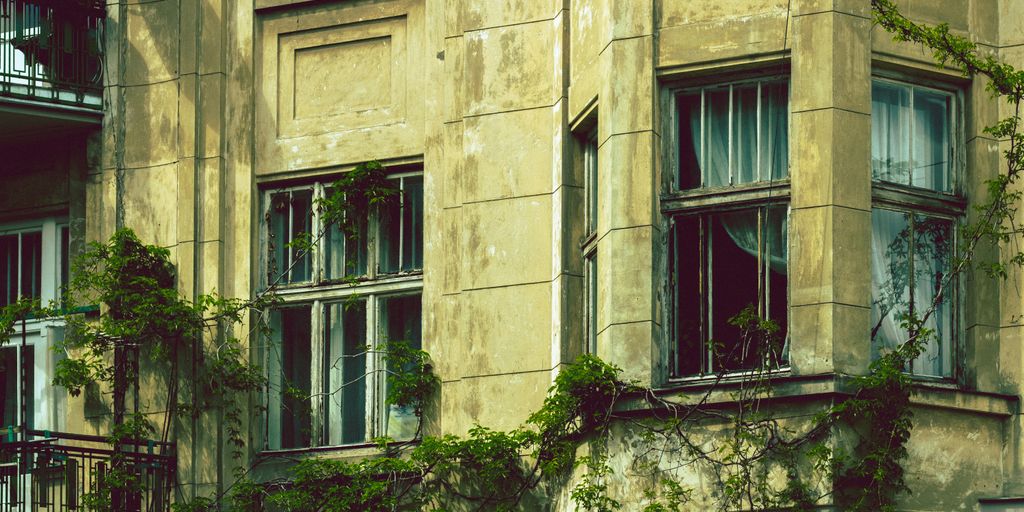 Weathered building with windows and vines.