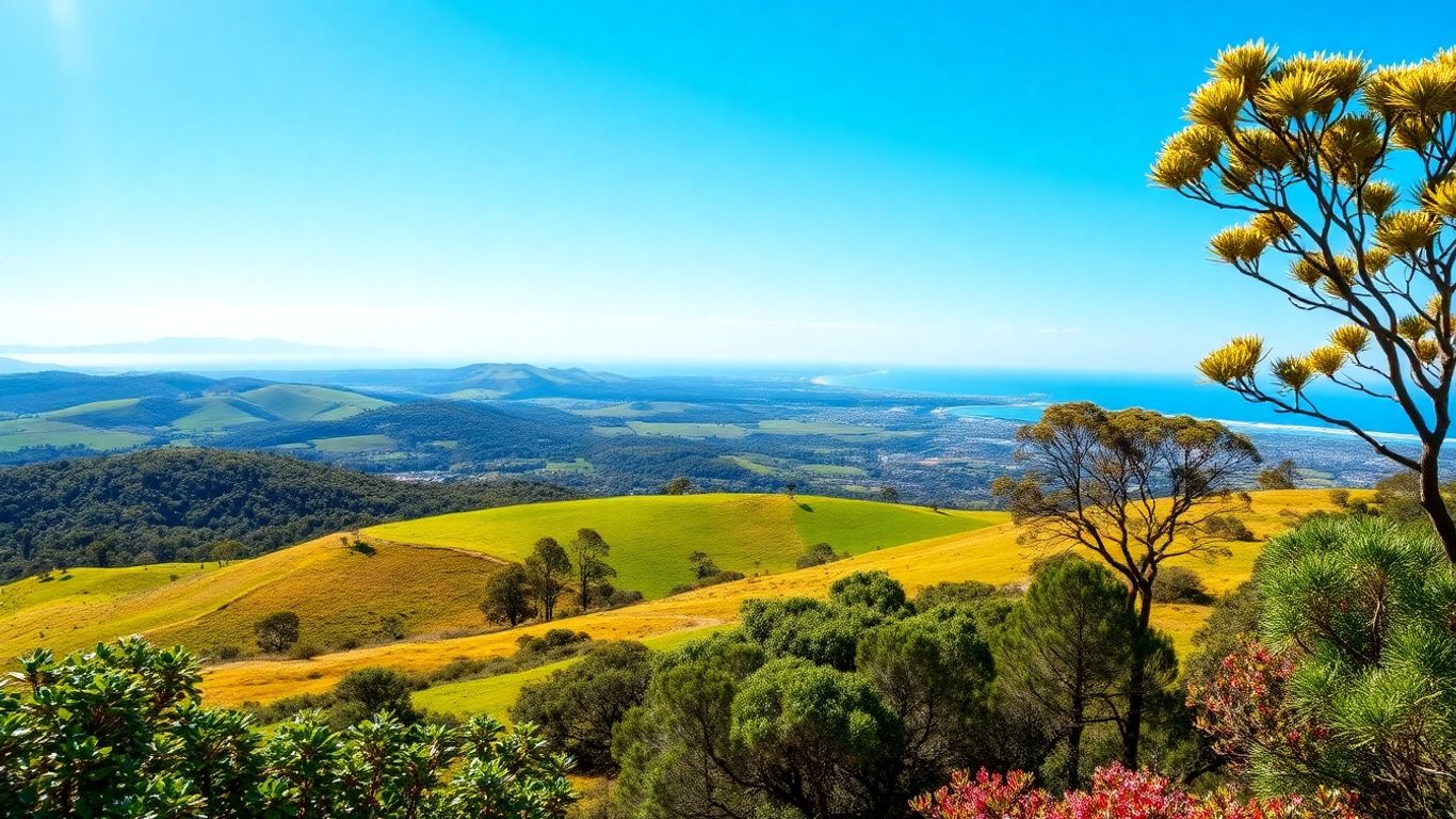 Vibrant Australian landscape with hills, sky, and flora.