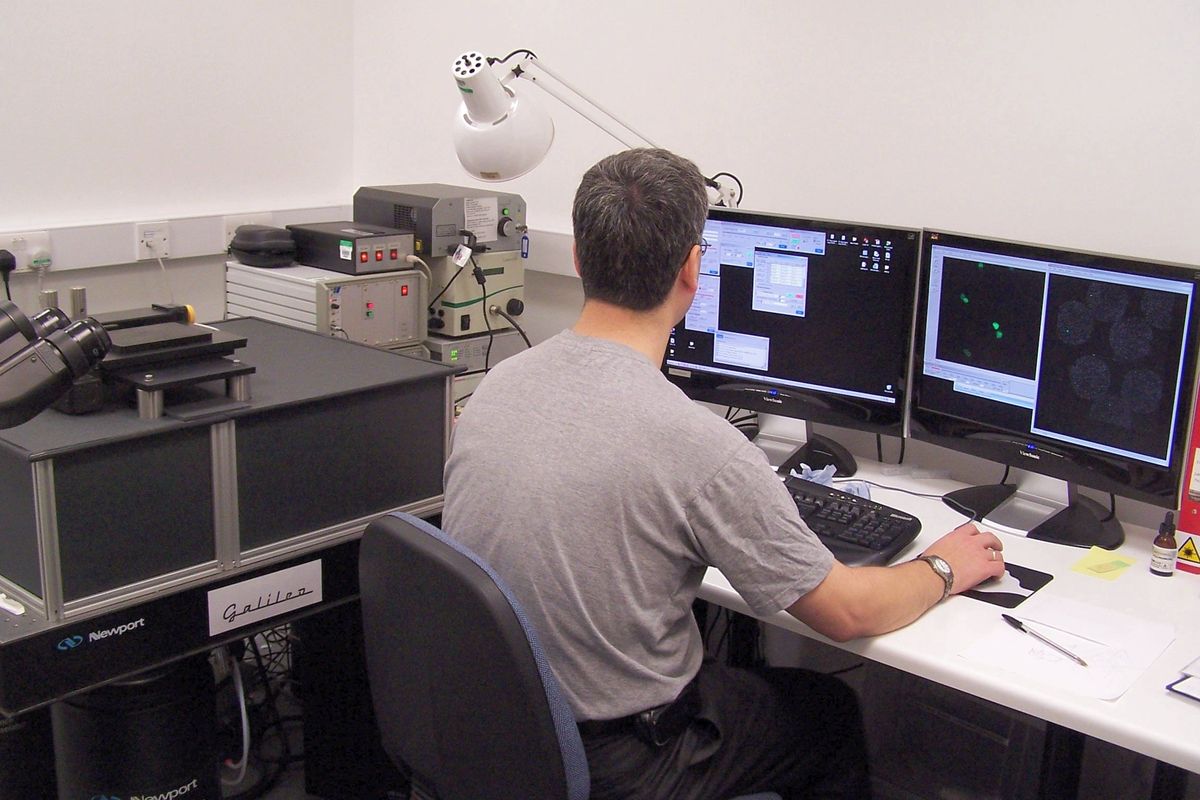 Harnessing AI for Advanced SEO and Analytics