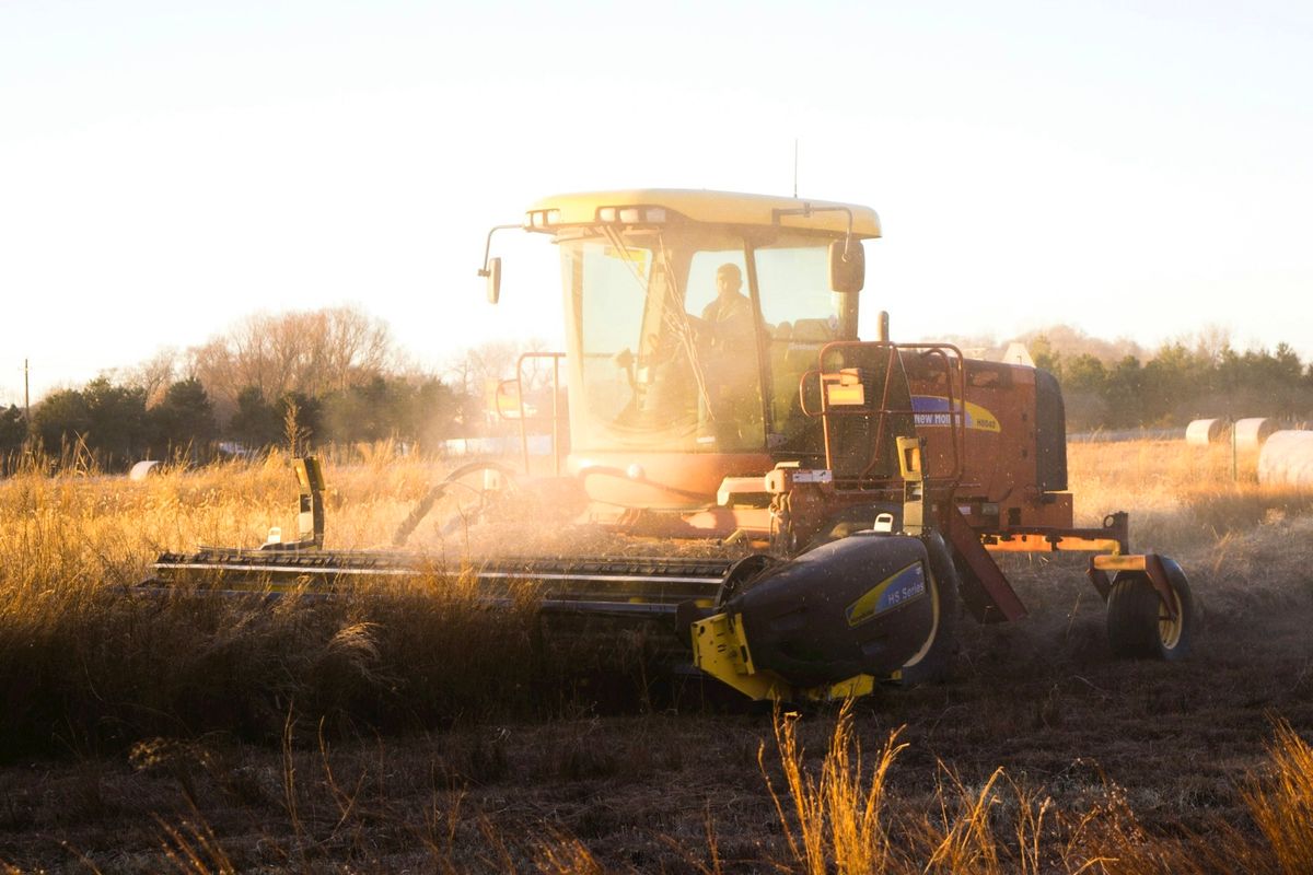The JADAM Revolution: Bringing Farming Back to the Farmers