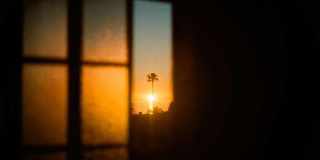 the sun is setting through a window with a view of a palm tree