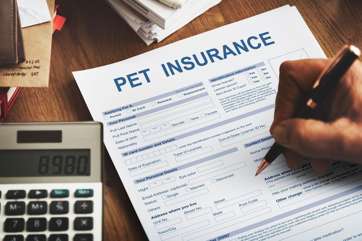 The Importance of Car Insurance