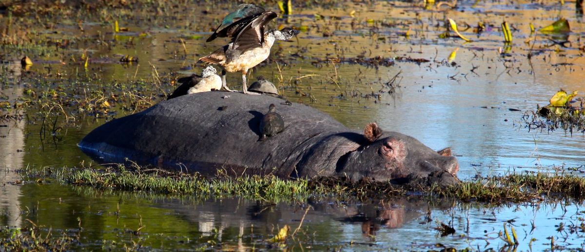 3. Cultural Transformation for AI Adoption