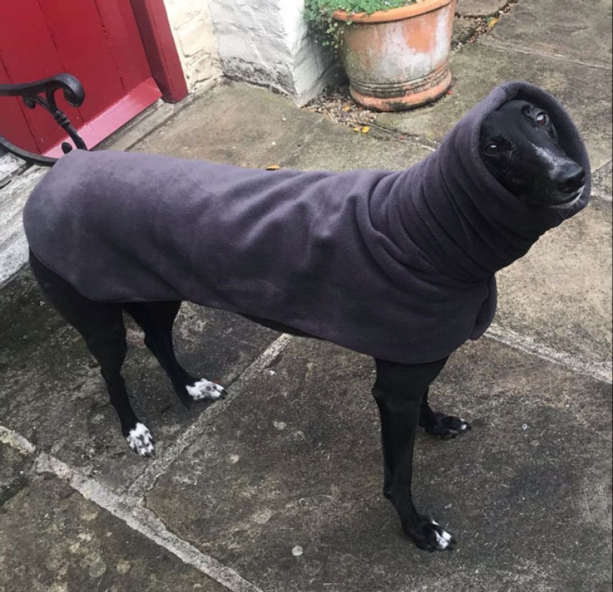 The Bottom Line: Passion, Purpose, and Profit