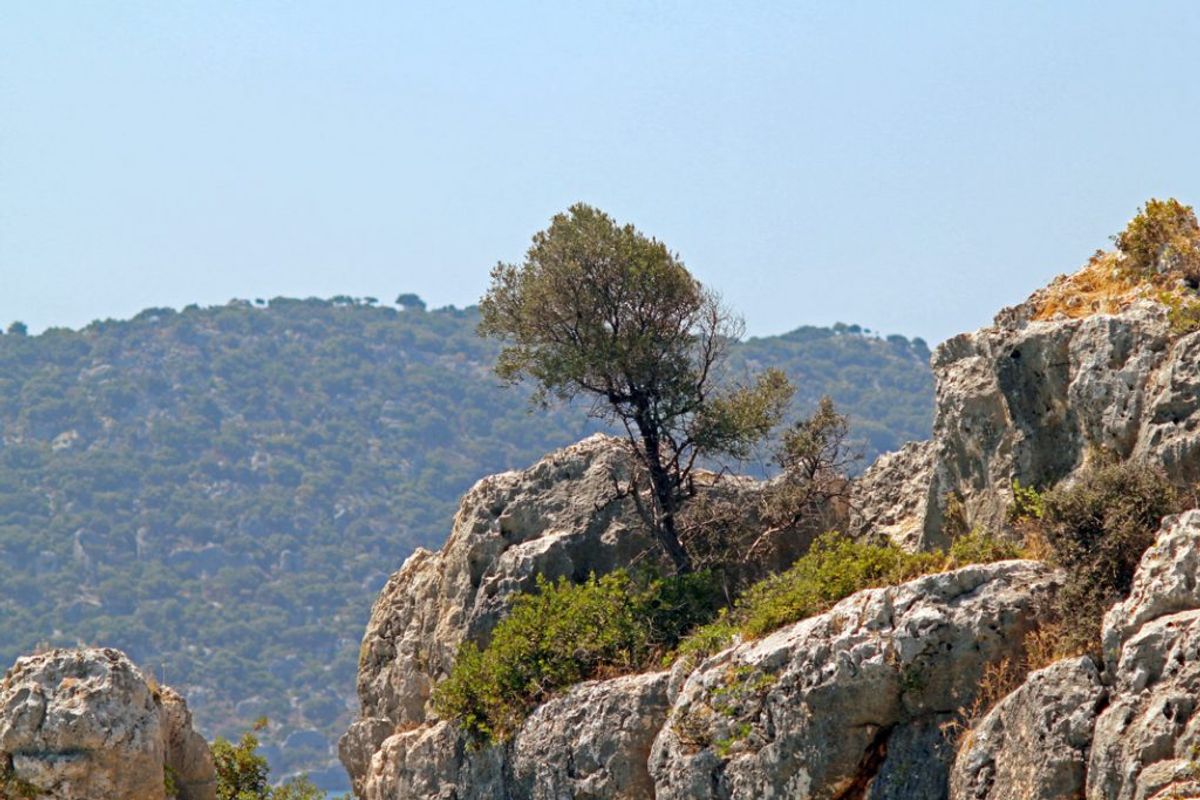 GCC's Strategic Role in International Trade