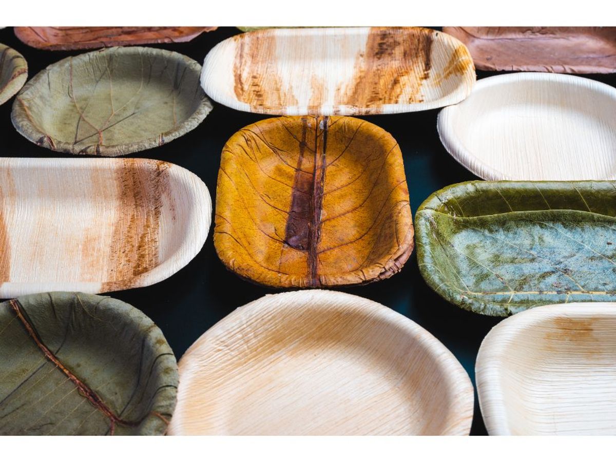 Understanding Leaf Plates