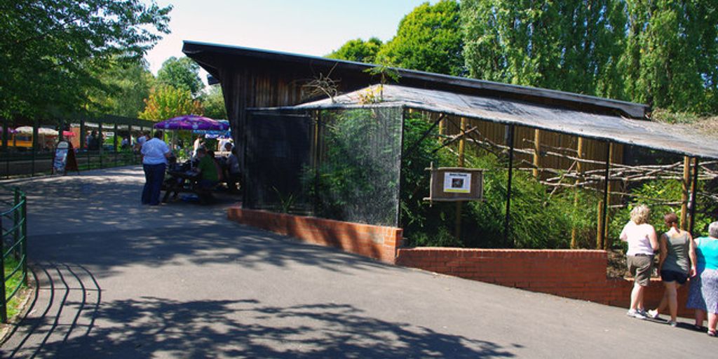 Birmingham cityscape with nature reserve and modern lifestyle elements