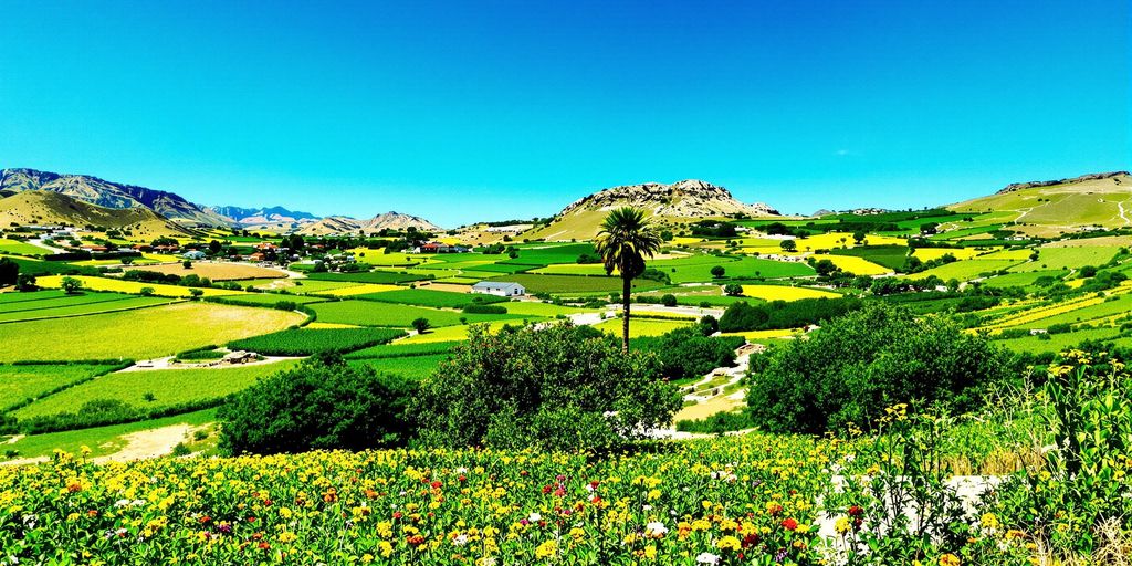 Lush rural landscape of Los Cabos with vibrant greenery.