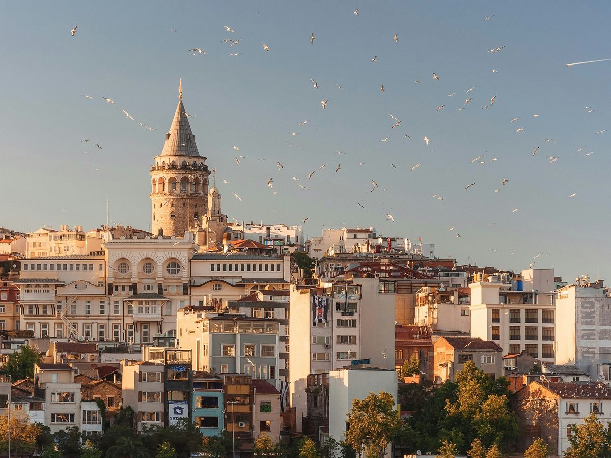 aerial view of buildings and flying birds