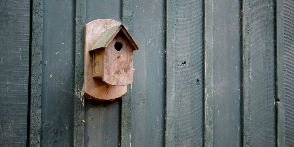 nest box mounted on black wall