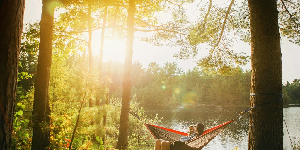man and woman seating on gray hammock beside trees during daytime