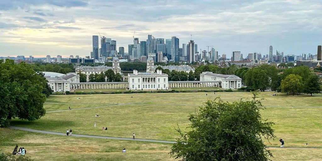 a view of a city skyline from a grassy field