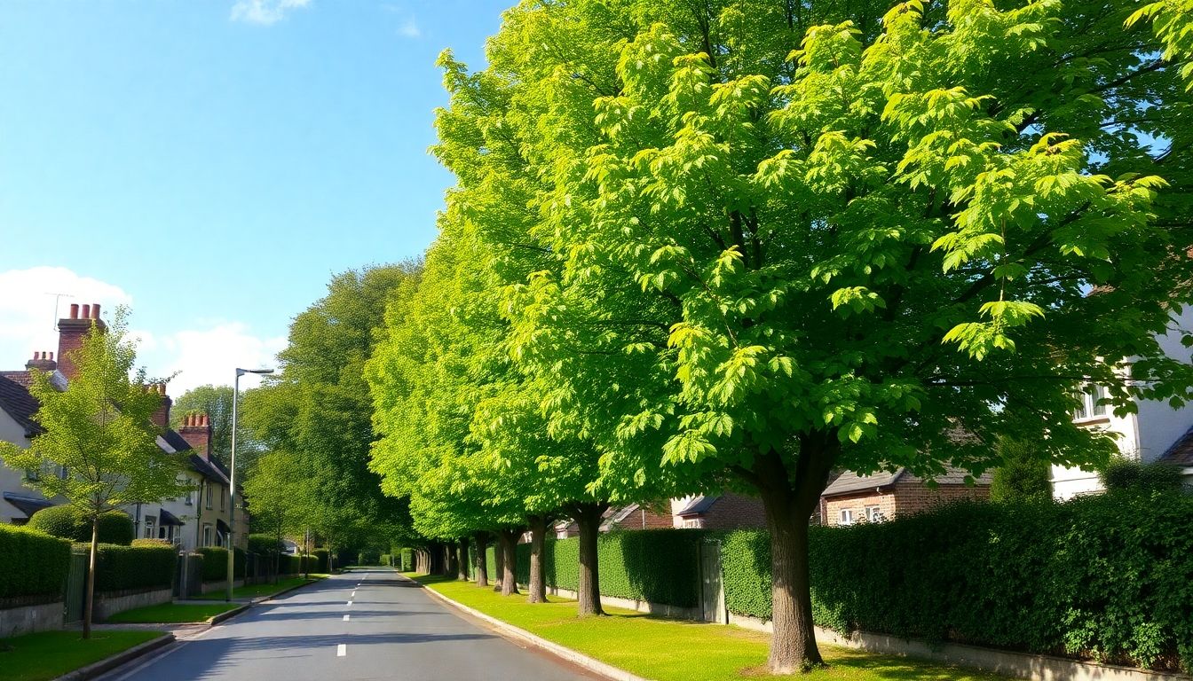 Trees lining a village road in Ireland.
